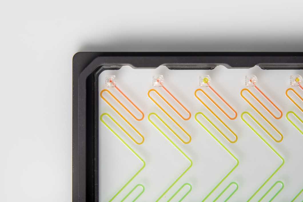 Top-down view of a microfluidic device with six meandering fluidic channels connected to pipette interfaces. All within a SLAS adapter.