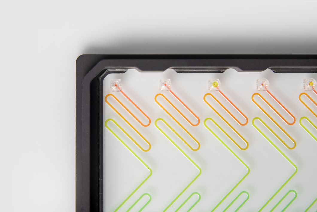 Top-down view of a microfluidic device with six meandering fluidic channels connected to pipette interfaces. All within a SLAS adapter.