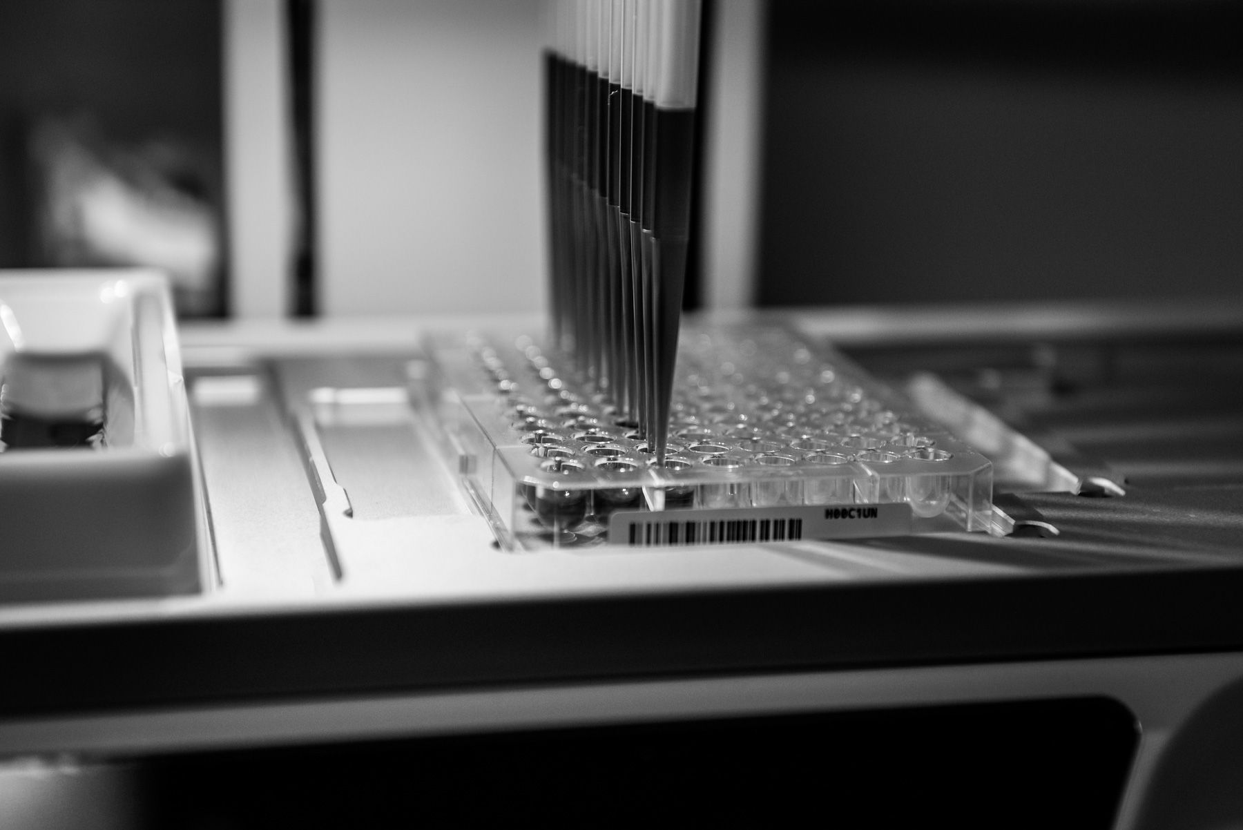 A pipette robot interfacing with a 96-well plate.