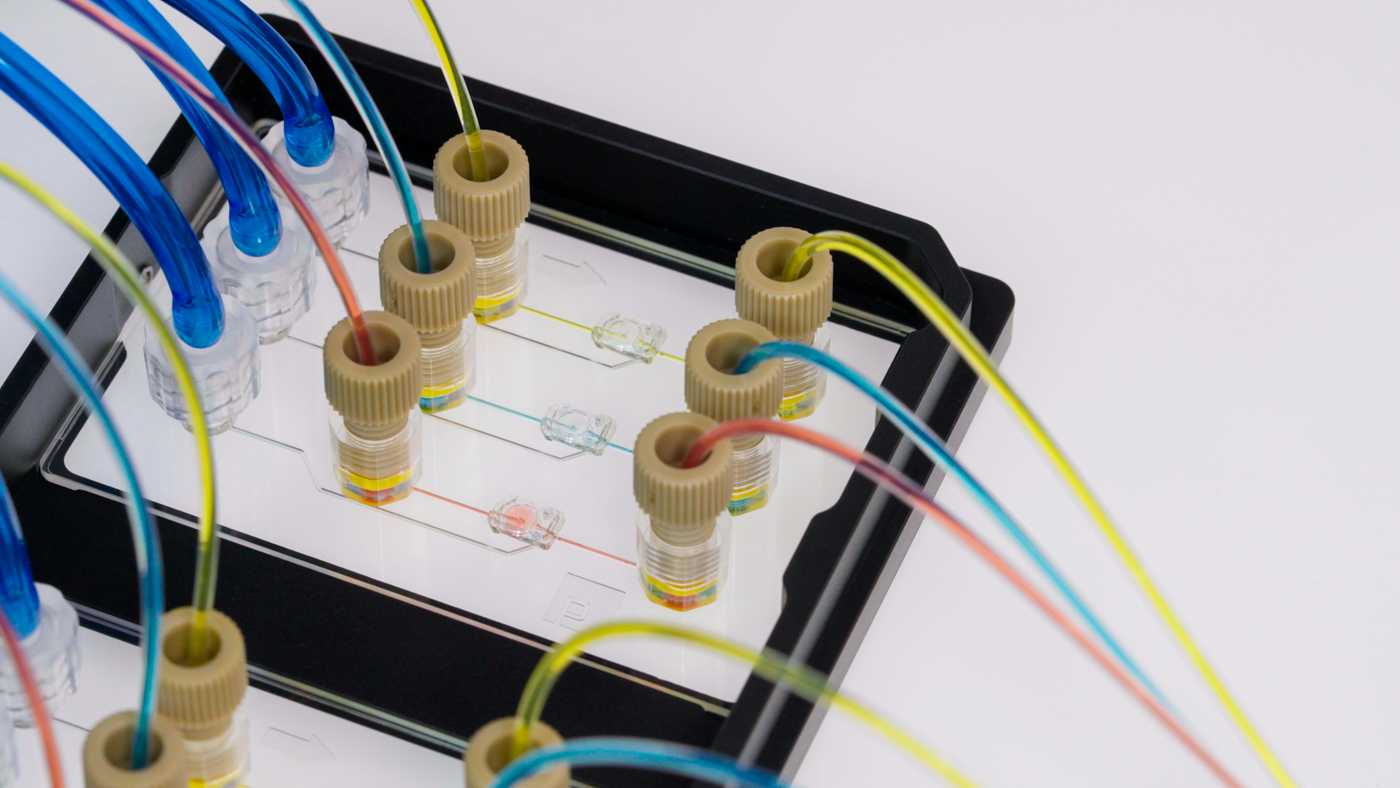 Multiple liquid and air tubes connected to a microfluidic device.
