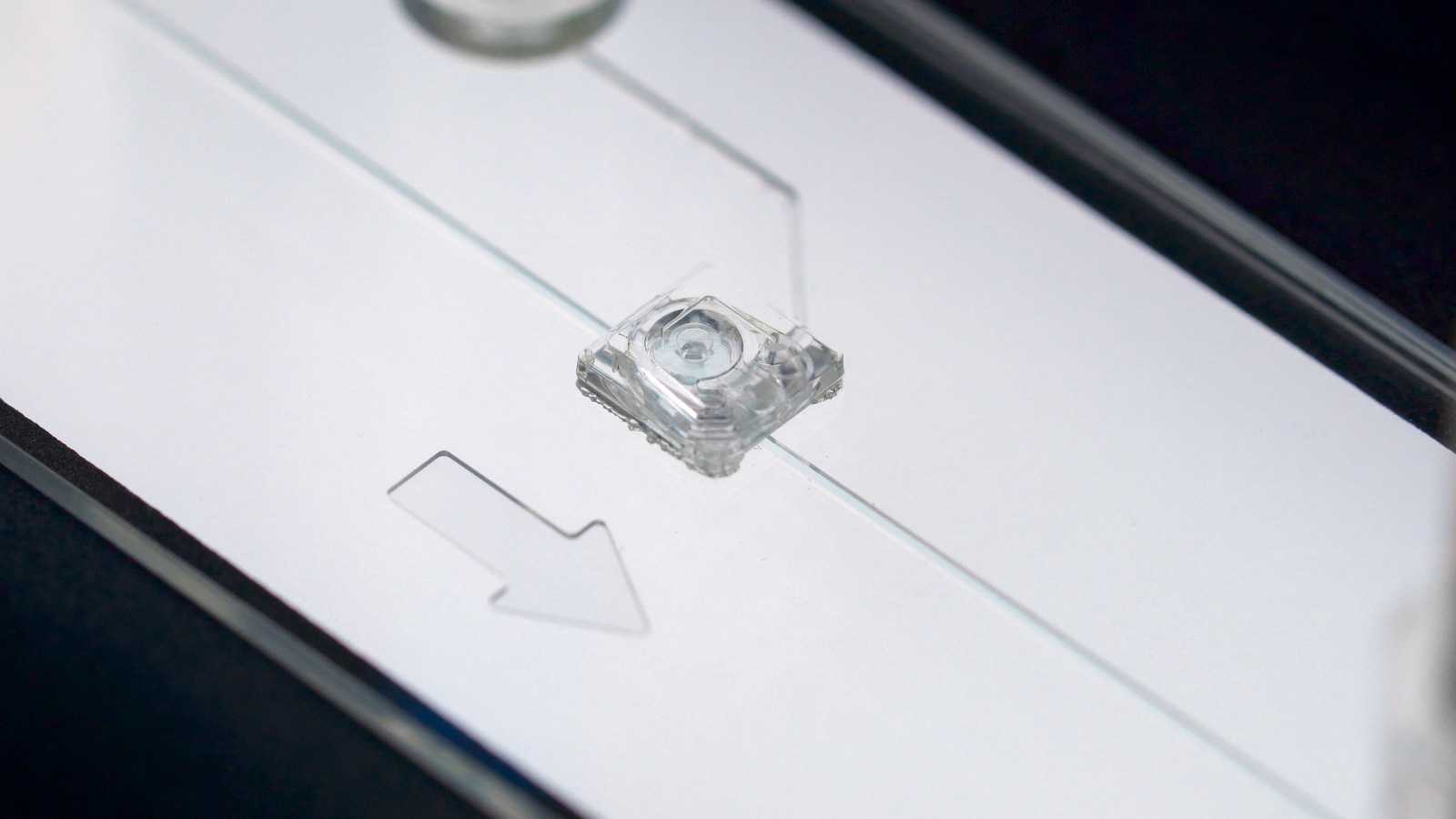 An MV-1 microvalve on a slide format microfluidic device. An arrow shows that liquid flows from left to right. A second air channel connects the MV-1 to something out of frame.