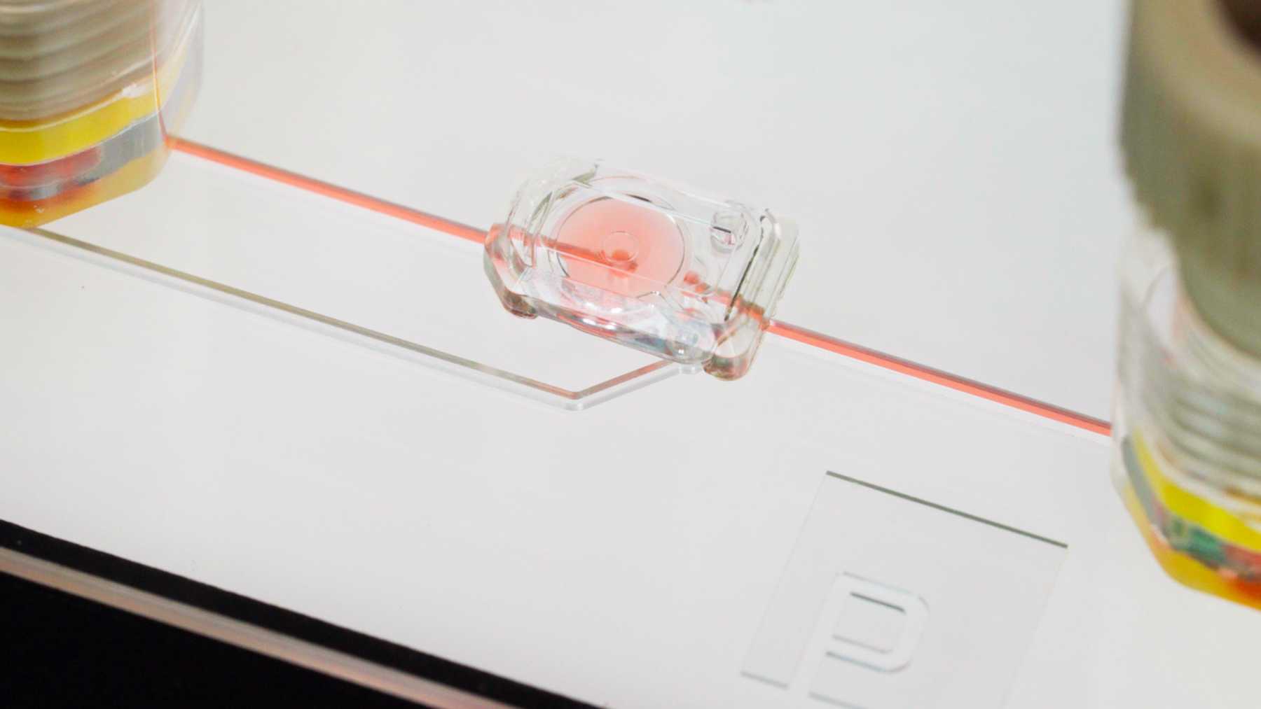 The MV-2, a clear microvalve only 6.9 millimeters in width mounted onto a microfluidic chip with red fluid flowing through it.