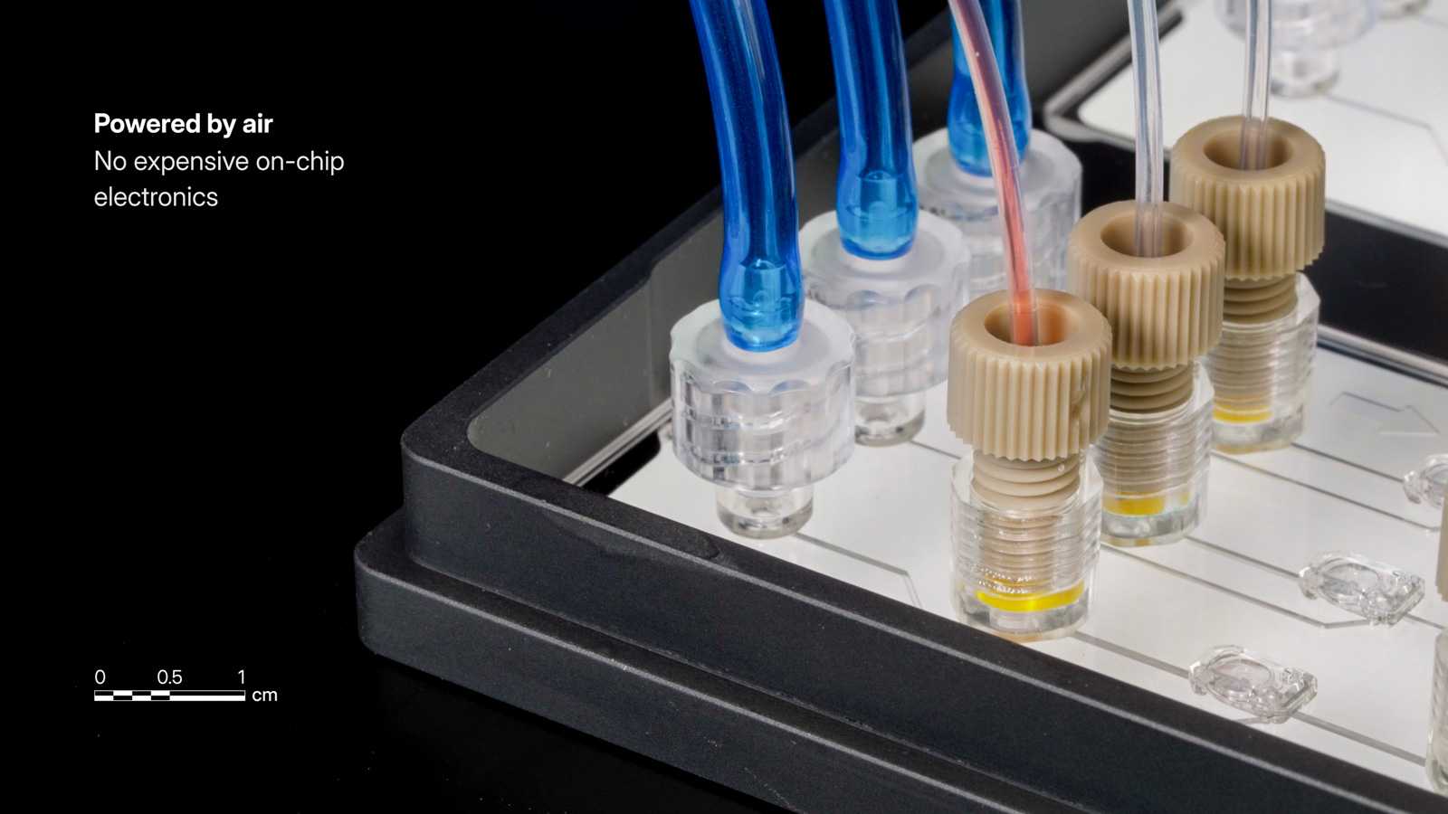 Three Luer-lock ports and three 1/4-28 ports on a double-slide format microfluidic device, all connected with tubing.
